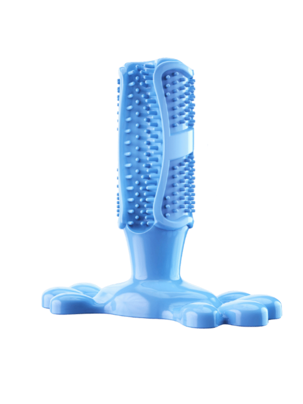 Dog Toothbrush Toy_blue